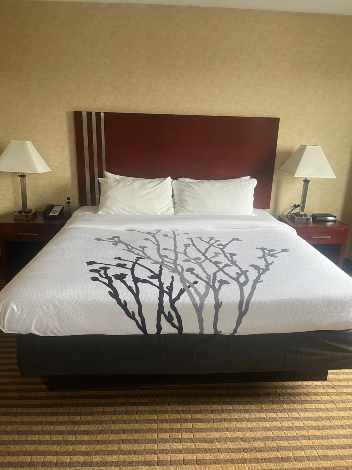 Lynchburg Grand Hotel Chambre photo